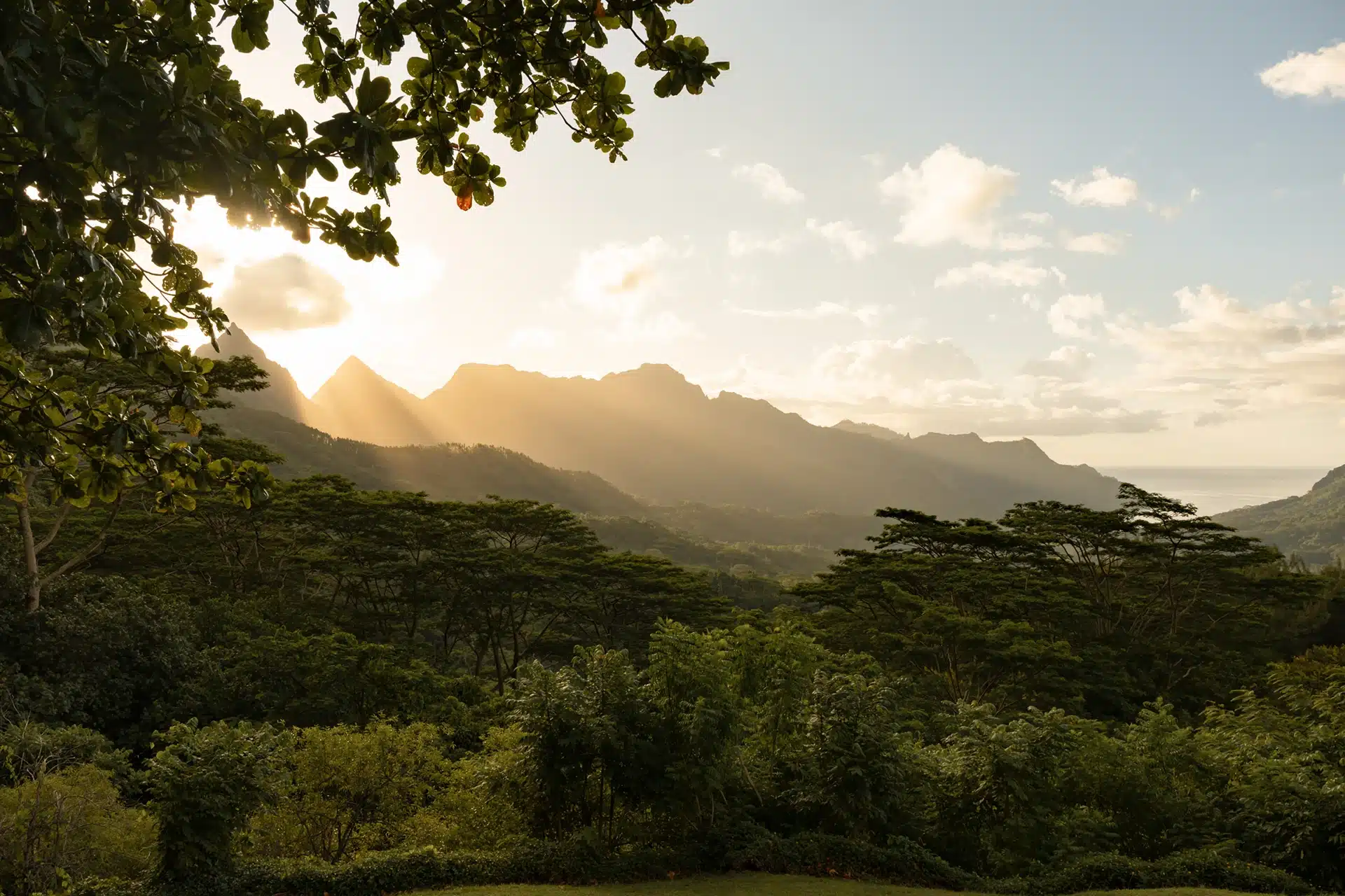 Tahiti ou Moorea ? Photo de Moorea !